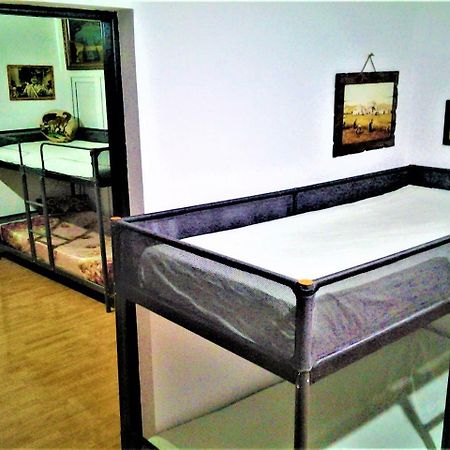 Leyla Hostel Brasov Bagian luar foto