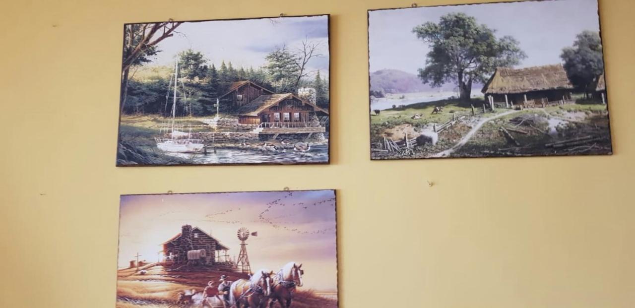 Leyla Hostel Brasov Bagian luar foto
