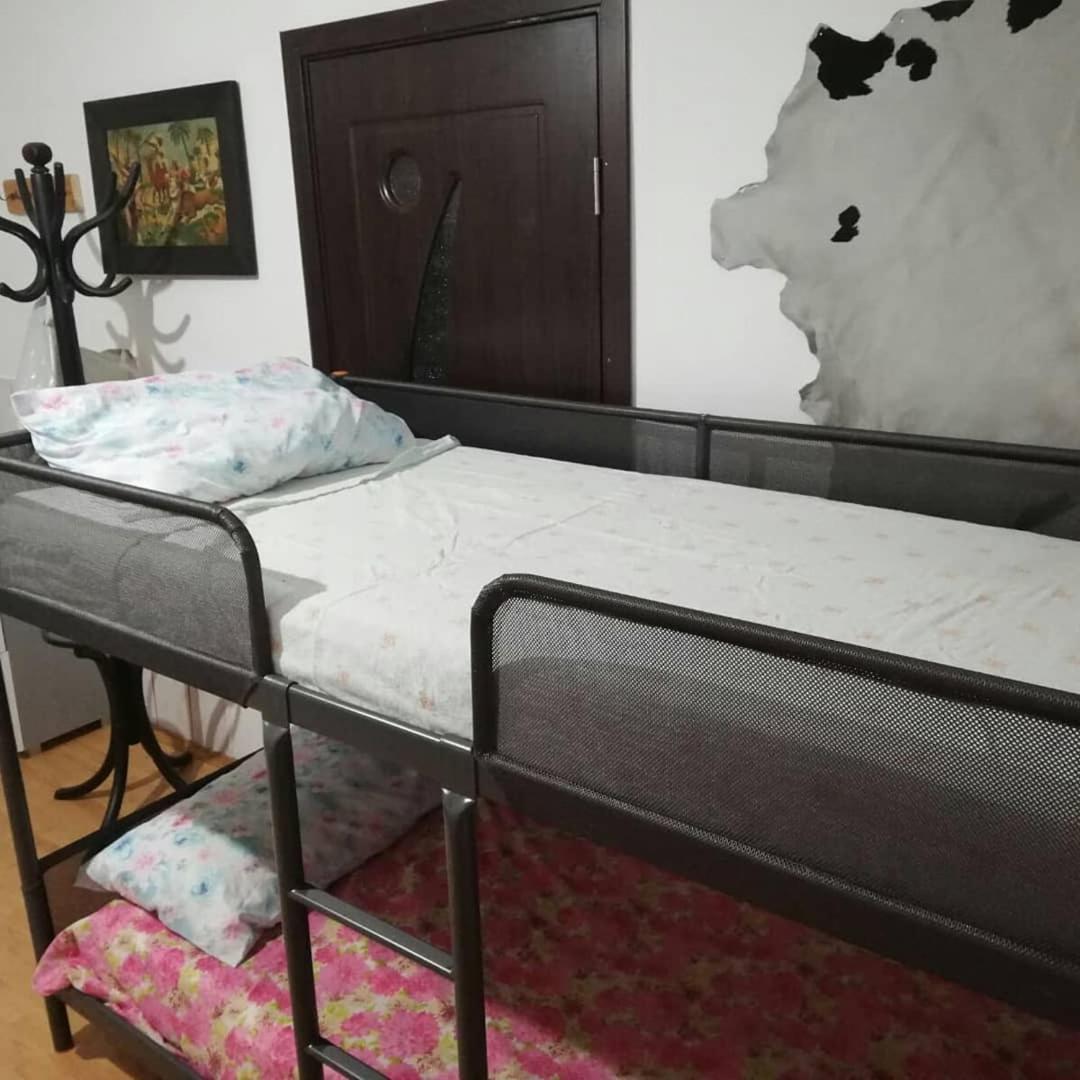 Leyla Hostel Brasov Bagian luar foto