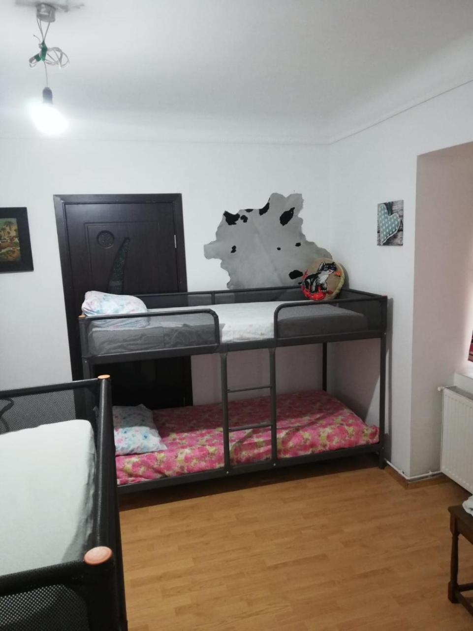 Leyla Hostel Brasov Bagian luar foto