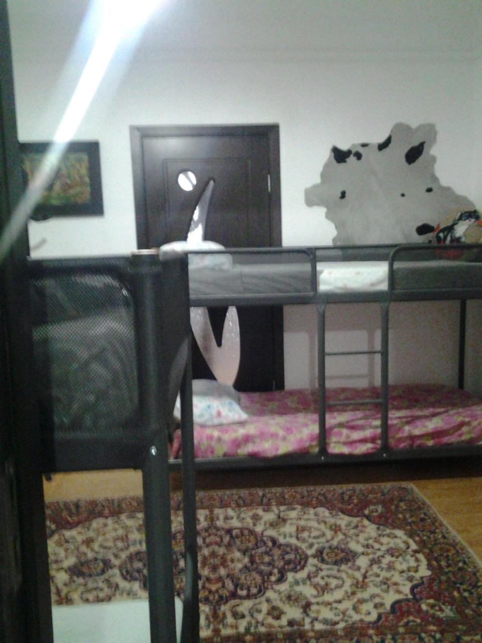Leyla Hostel Brasov Bagian luar foto