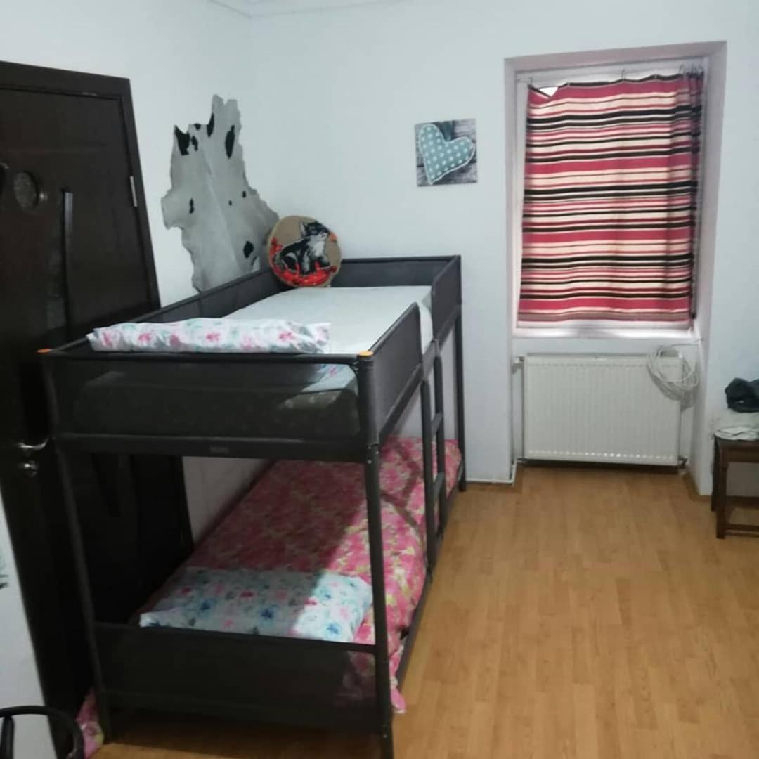 Leyla Hostel Brasov Bagian luar foto