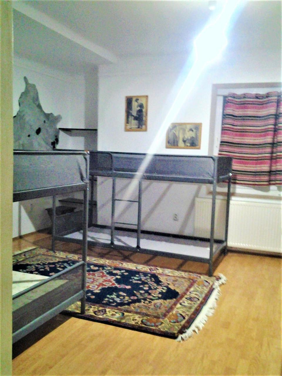 Leyla Hostel Brasov Bagian luar foto