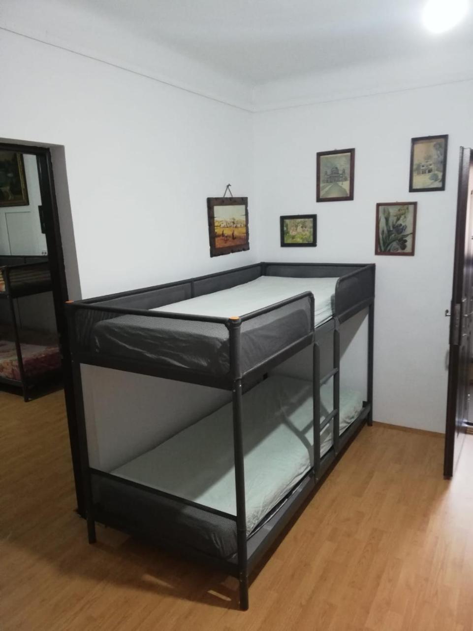 Leyla Hostel Brasov Bagian luar foto