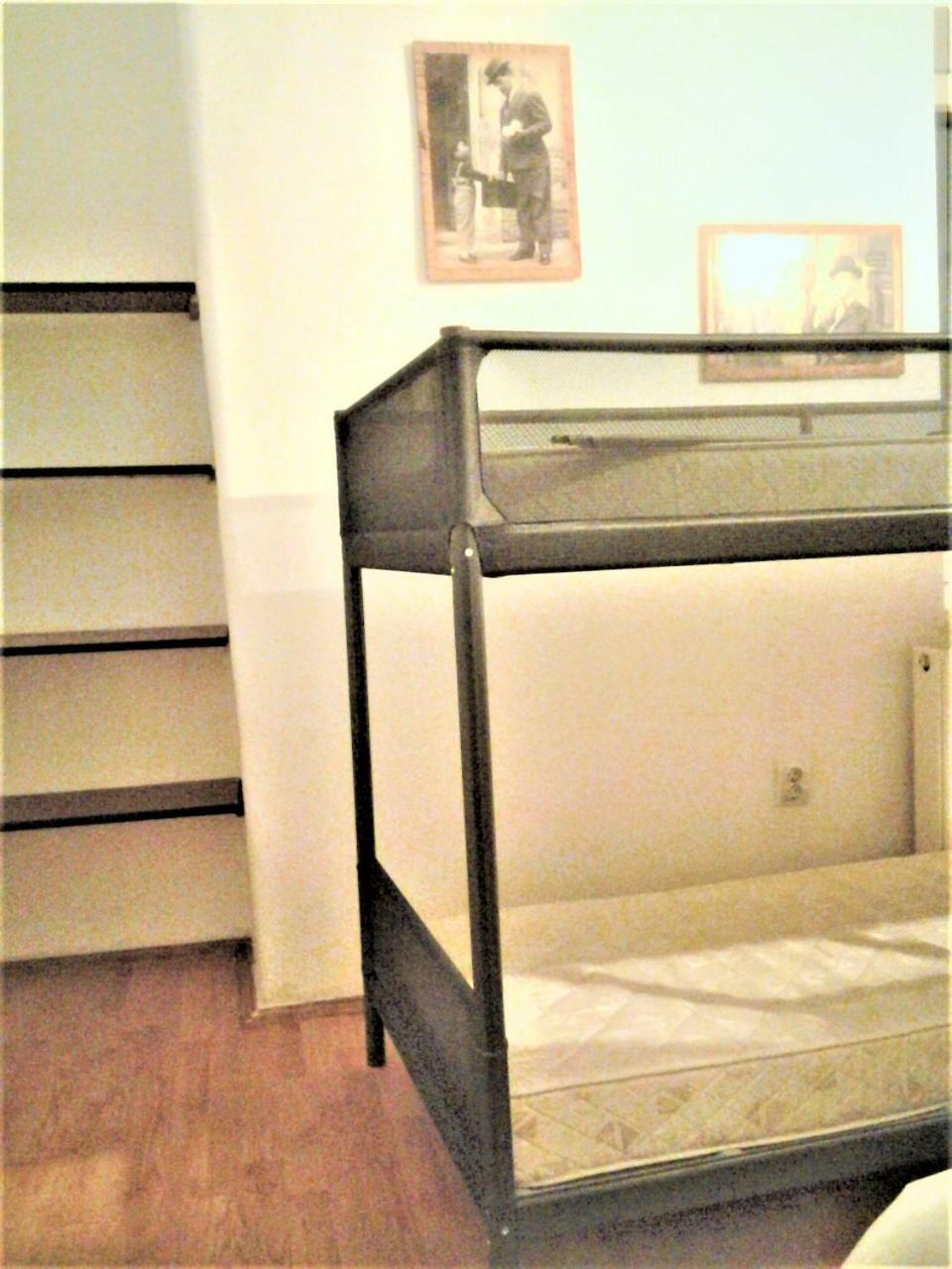 Leyla Hostel Brasov Bagian luar foto