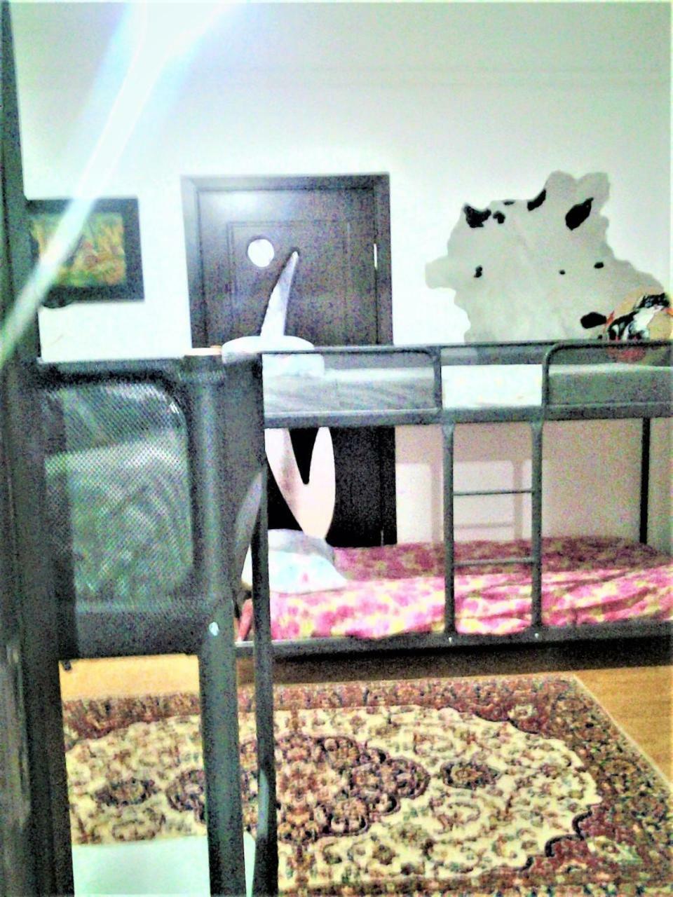 Leyla Hostel Brasov Bagian luar foto