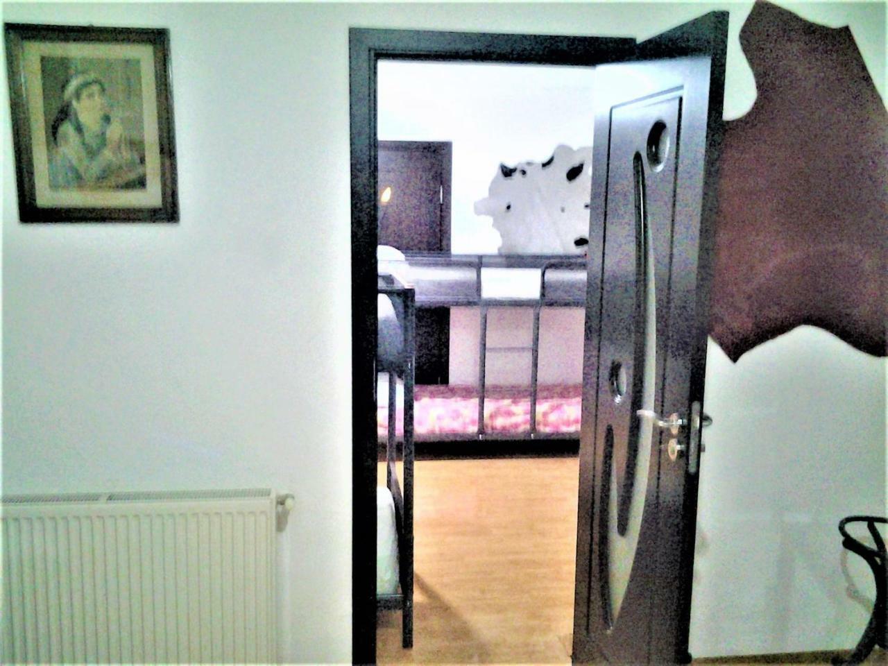 Leyla Hostel Brasov Bagian luar foto